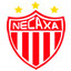 Logo Equipo Local NEC