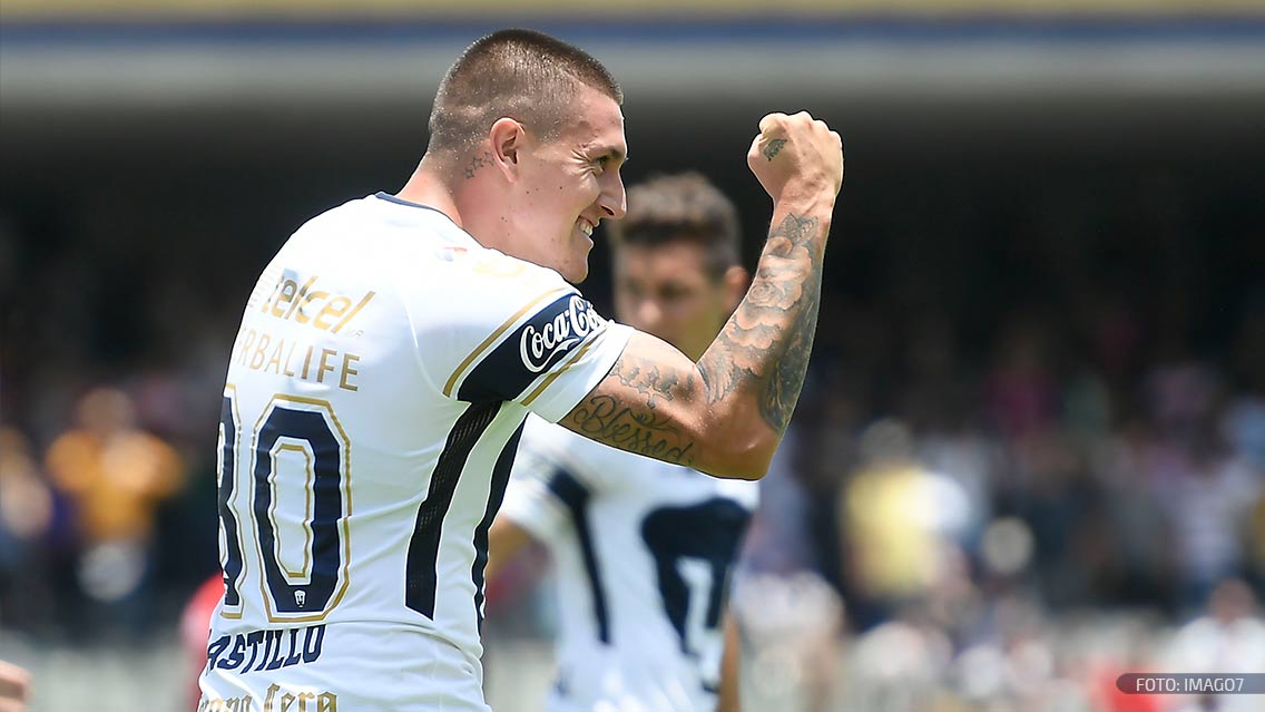 pumas pumas
