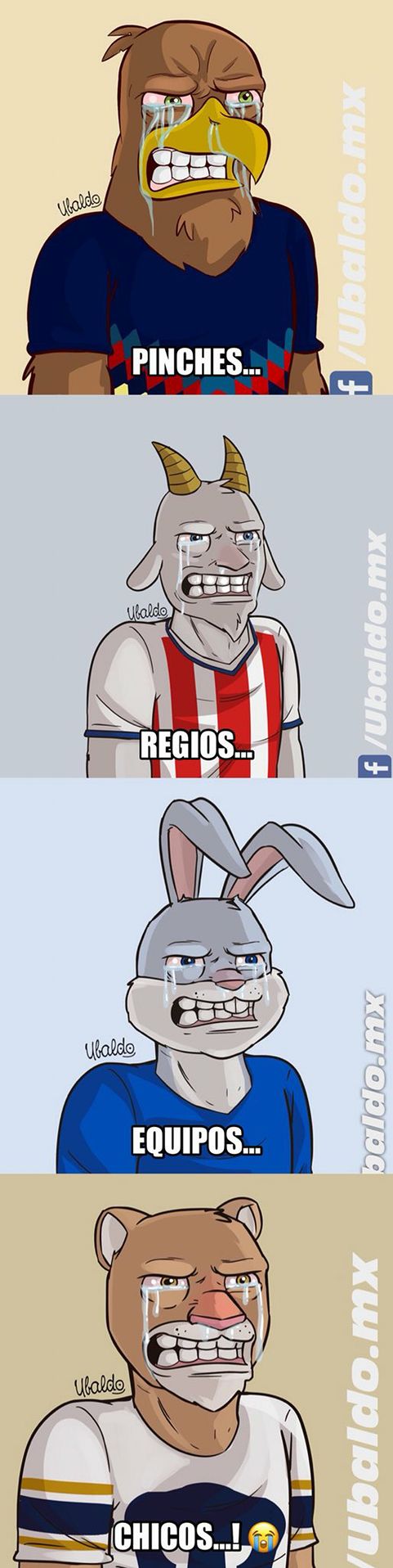 Los memes de la Final Regia entre Rayados y Tigres 4