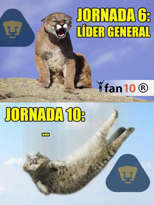 Los memes del Clásico acaparan la Jornada 10 del Clausura 2018 6