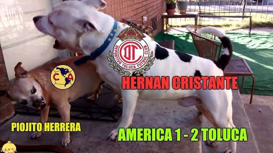 Los memes que nos dejó la Jornada 12 del Clausura 2018 10