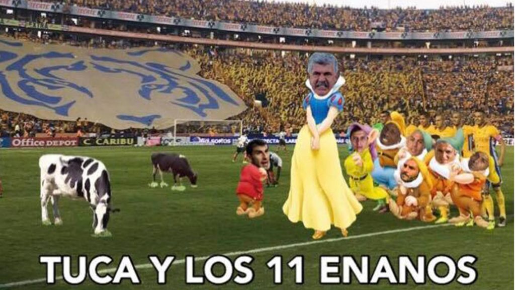 memes de Tigres