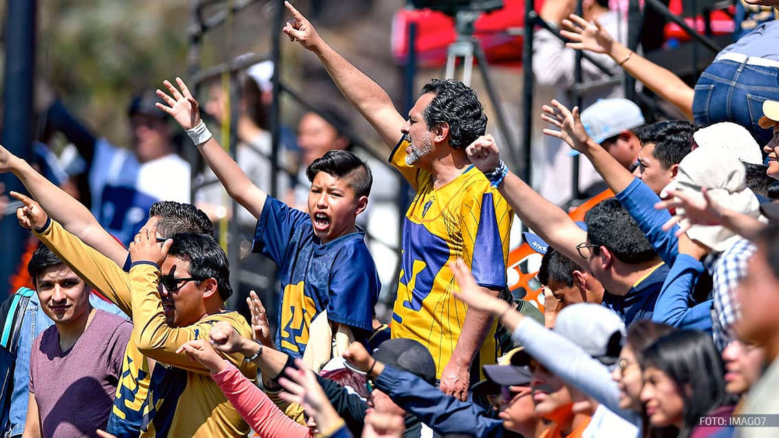 Detienen a hombre con paquetes de droga en partido de Pumas