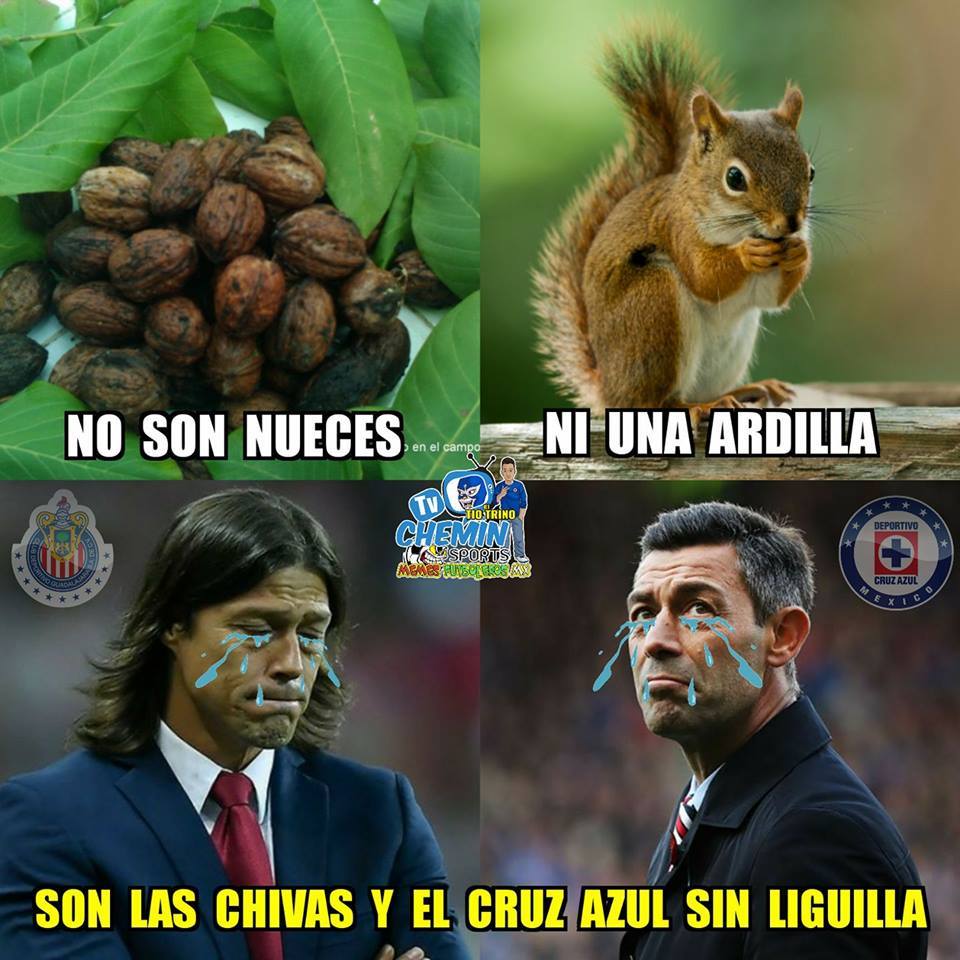 Los memes que dejó la Jornada 17 del Clausura 2018 6