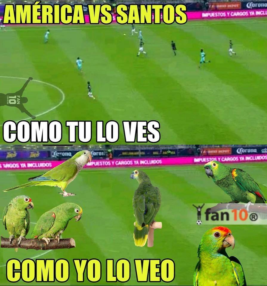 Los memes que dejó la Jornada 17 del Clausura 2018 8