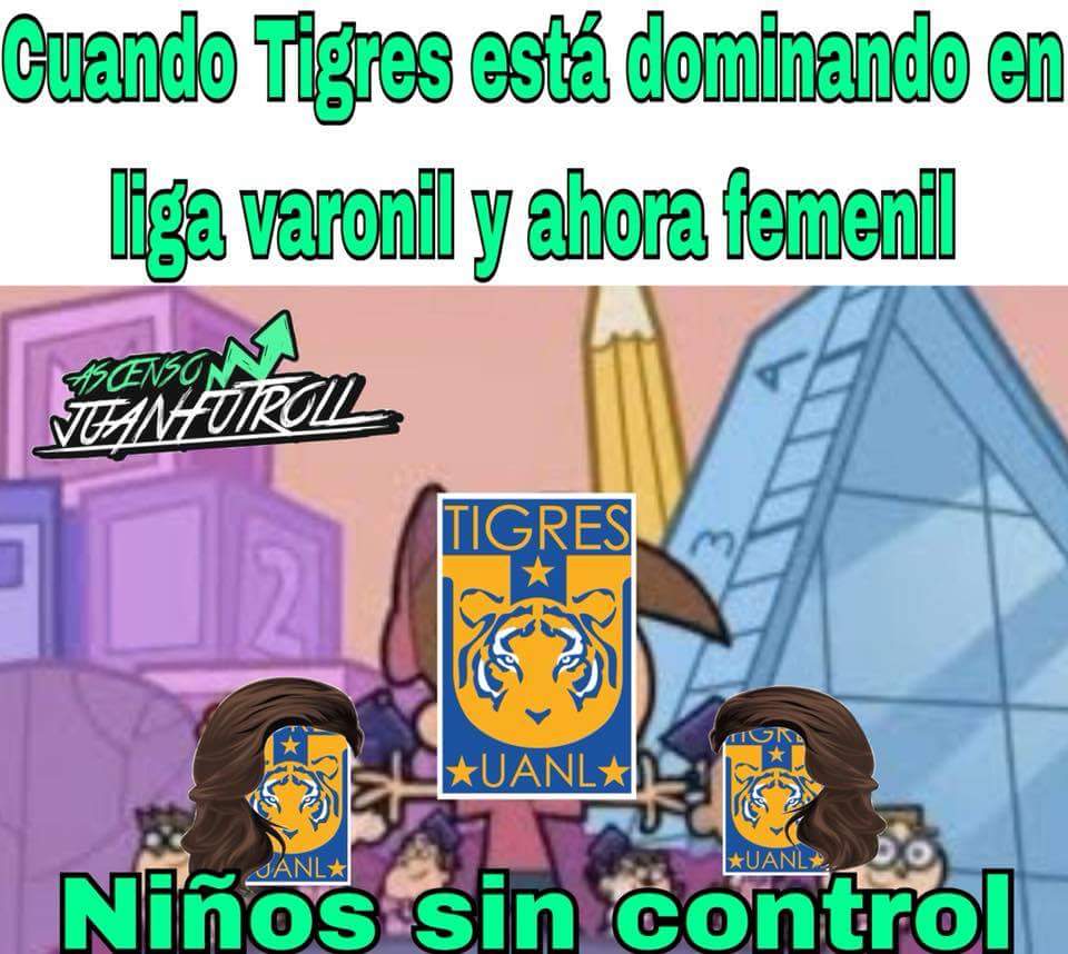 El estadio de Monterrey, casa de los Tigres, en los memes 0