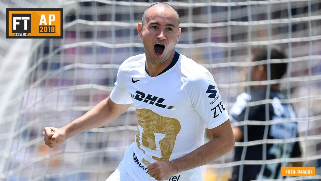Pumas