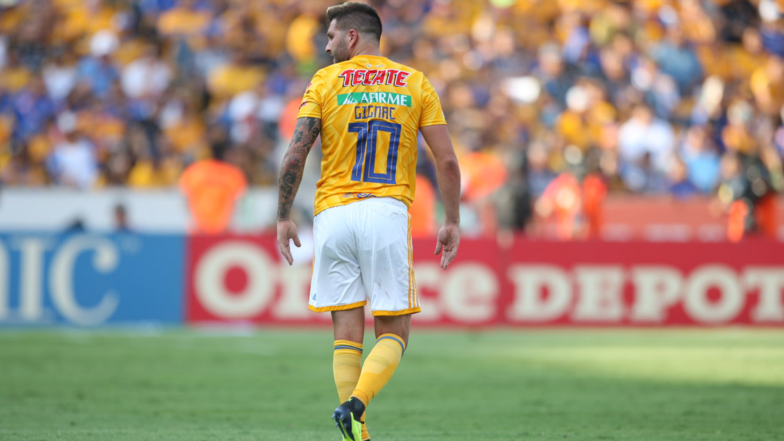 Resultado de imagen para tigres uanl