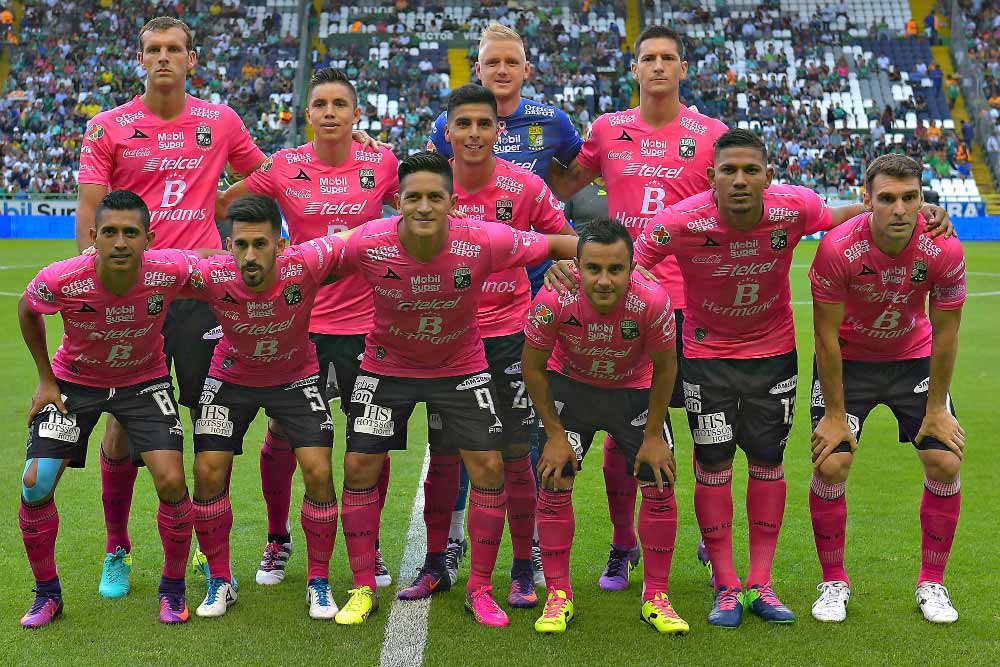 Jersey rosa de león 