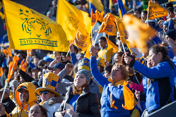 Afición Tigres