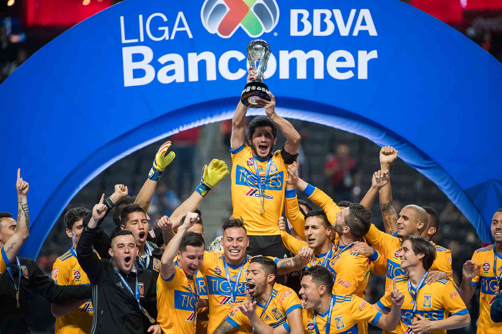 Tigres