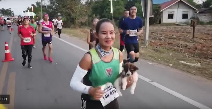 Rescata a hermoso cachorro mientras corría un maratón