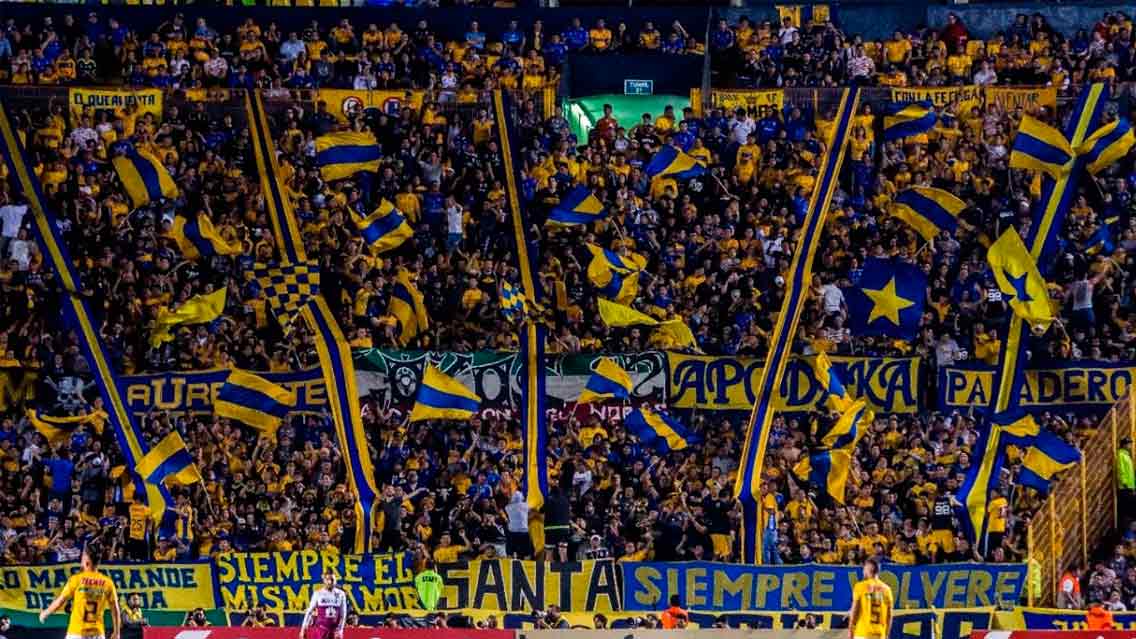 Afición Tigres