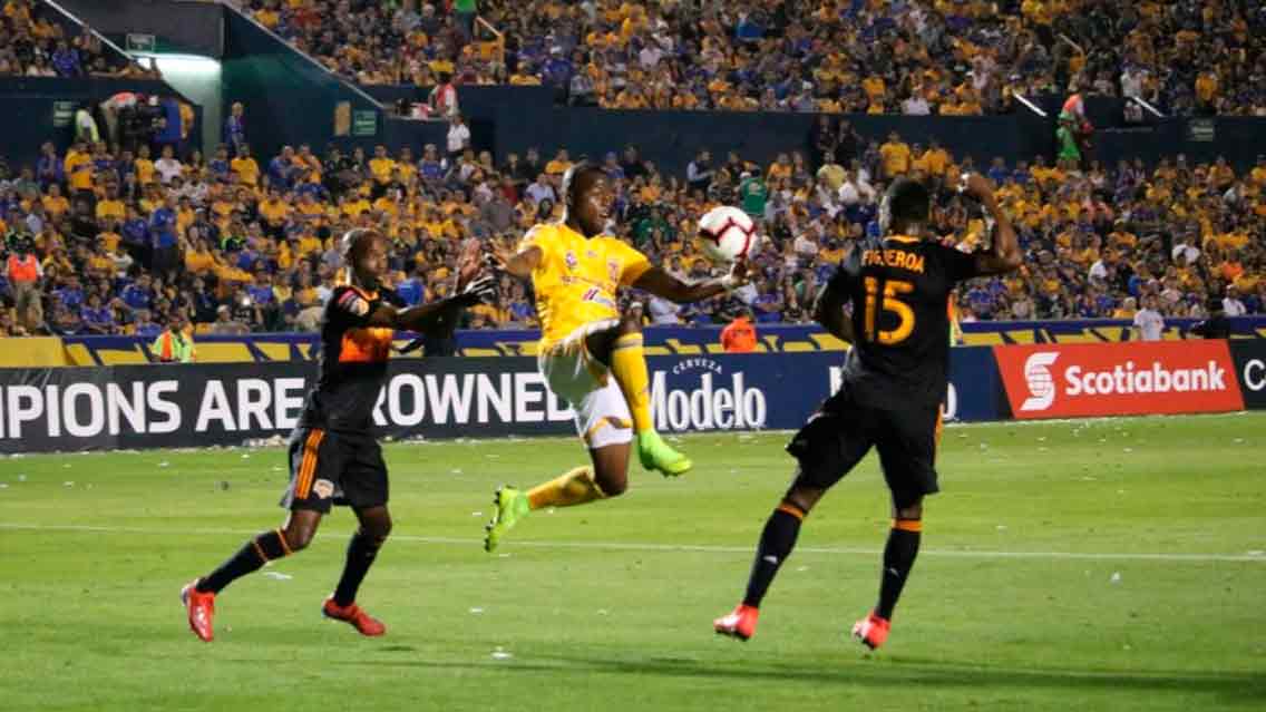 Tigres 