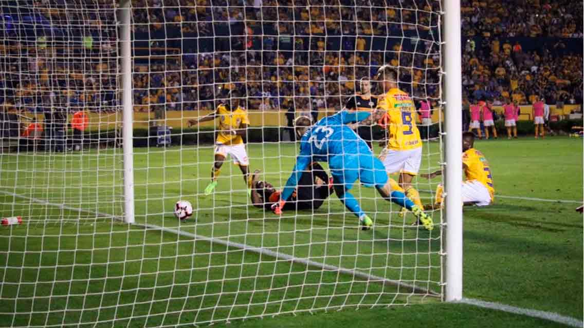 Tigres