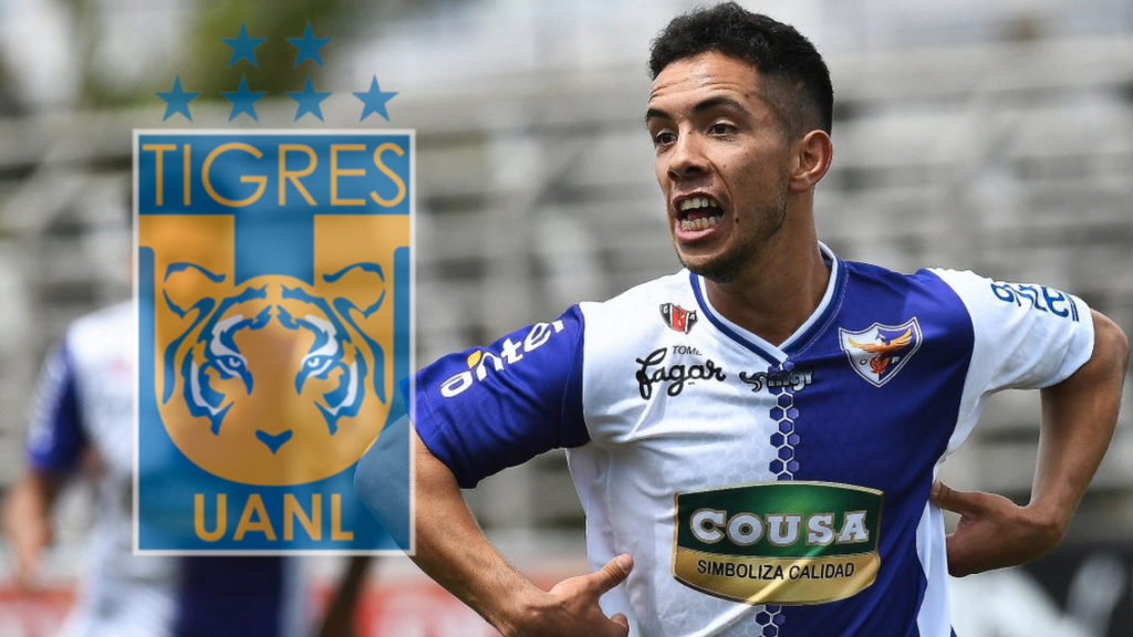 Leonardo Fernández, nuevo refuerzo de Tigres