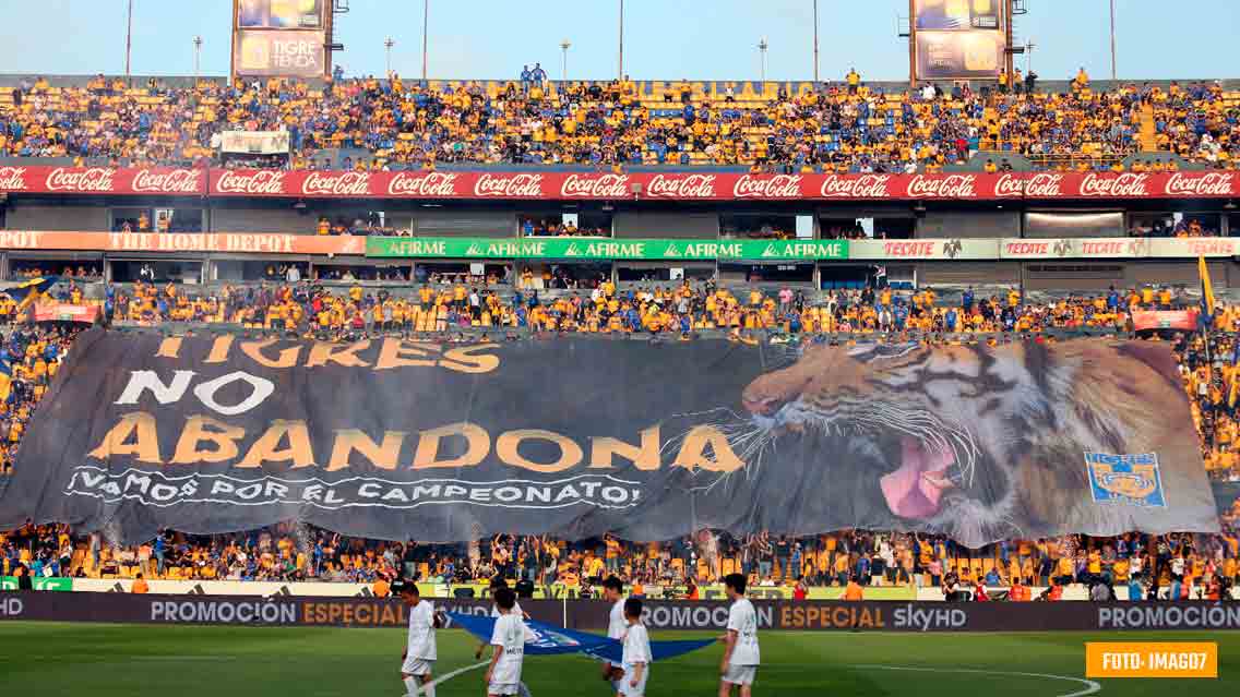 Tigres 