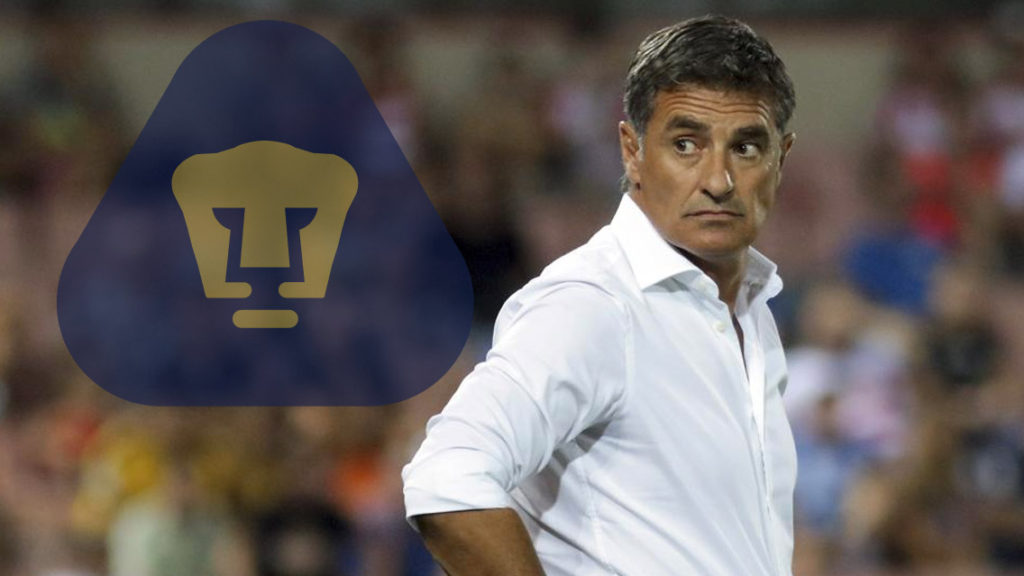 ¿Quién es Míchel González, nuevo DT de Pumas?