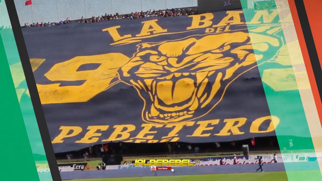 La Rebel de Pumas recibió 150 mil pesos del gobierno