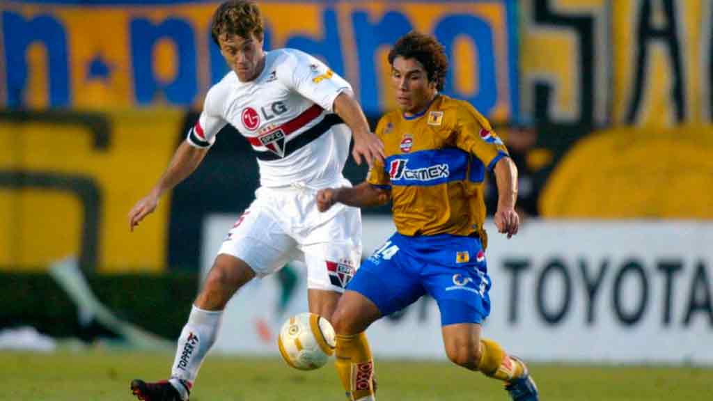 Salvado Cabañas Tigres