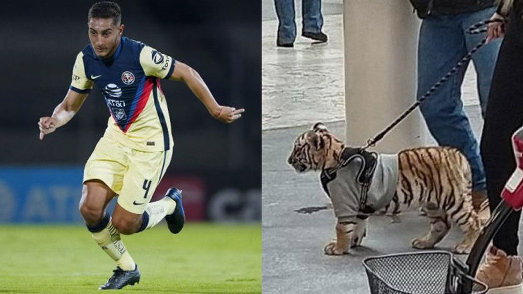 Novia de Sebastián Cáceres de América tiene tigre como mascota