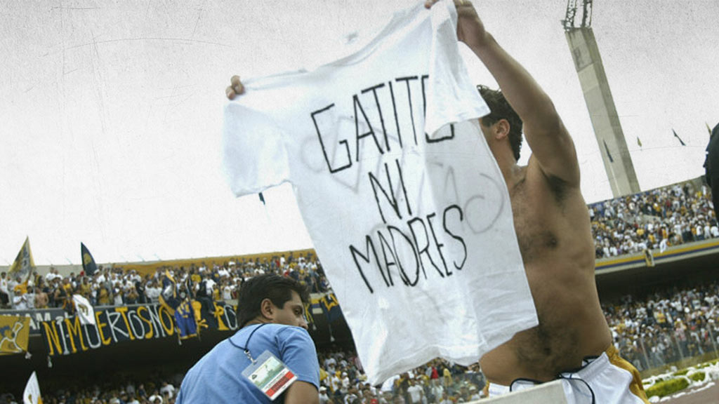 Ailton Da Silva y su famosa frase 'Gatito Ni Madres'