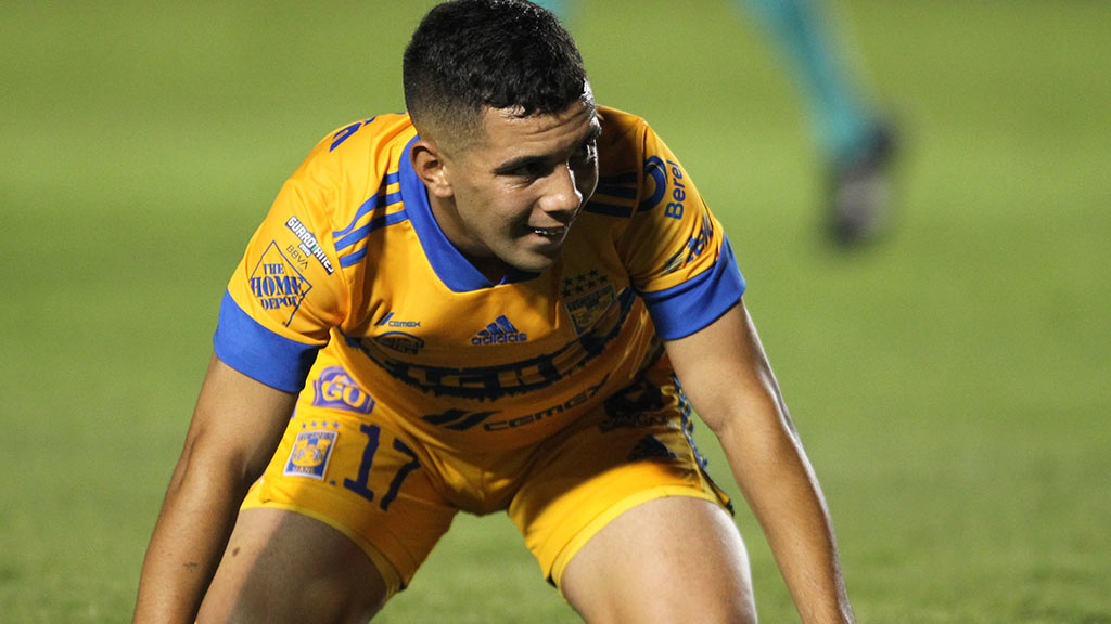 leo-fernandez-tigres-2020
