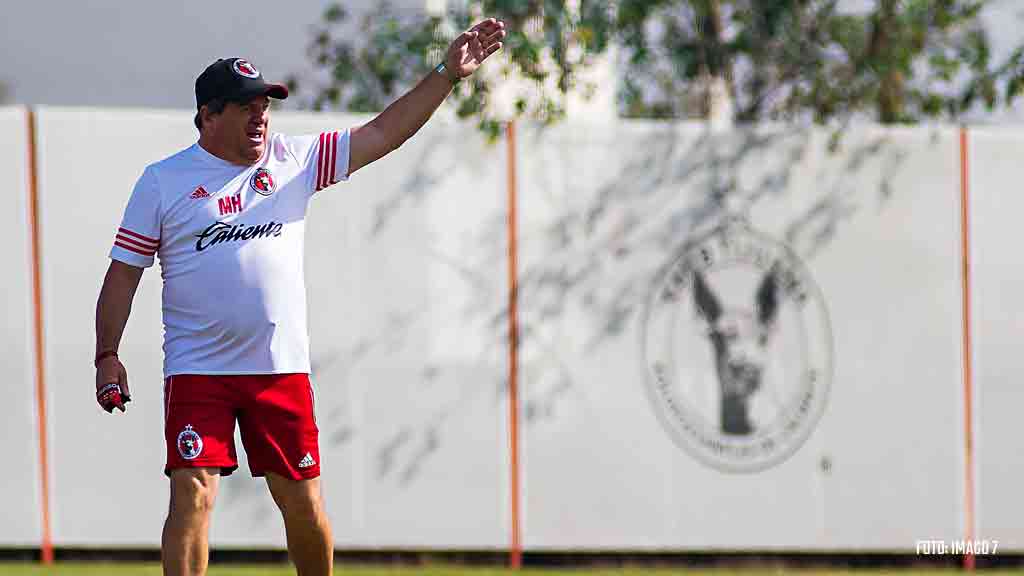 Xolos estaría analizando el regreso de Miguel Herrera al banquillo