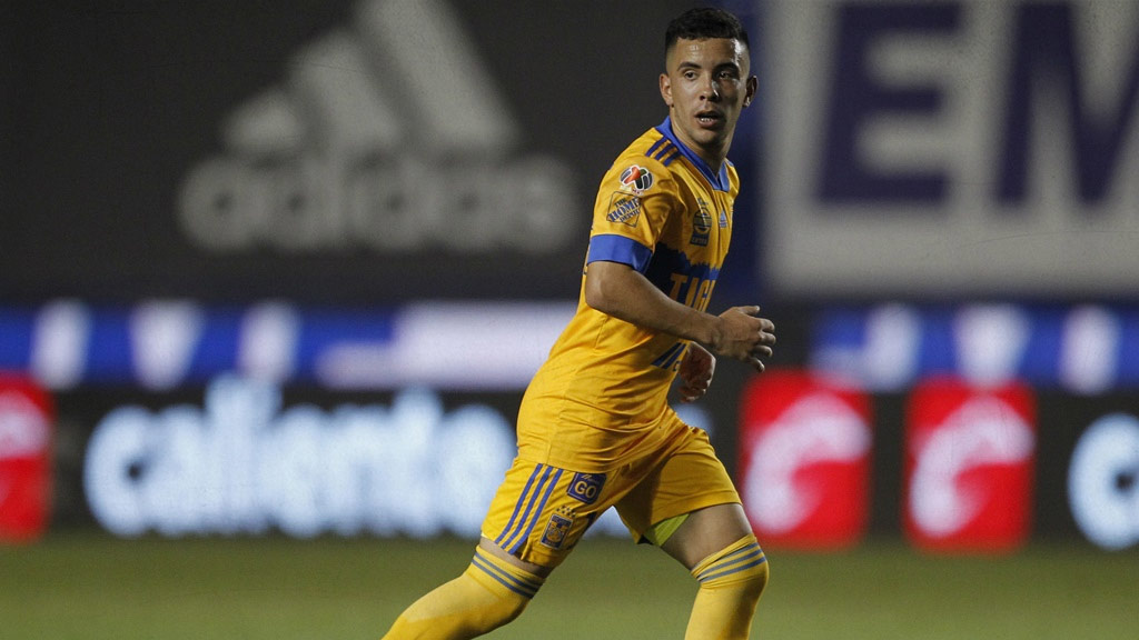 Leonardo Fernández se ha ido apagando con Tigres