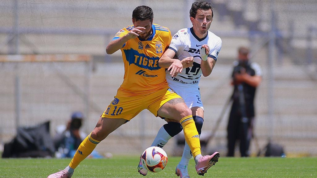 Tigres vs Pumas: A qué hora es, canal de transmisión, cómo y dónde ver partido de la Jornada 10 de Liga MX