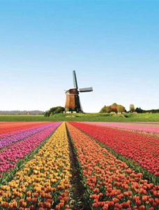10 cosas que podemos aprender de los Holandeses 3