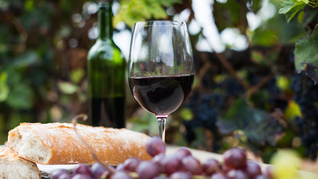 Vinos de Rioja, la Denominación de Origen más antigua de España