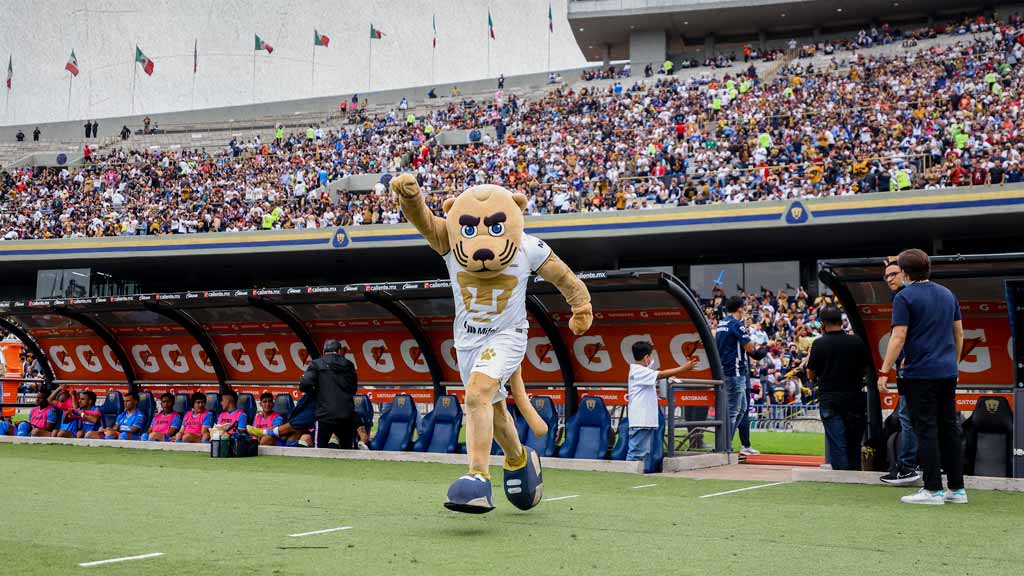 Pumas tiene en claro la oferta económica para su nuevo director técnico