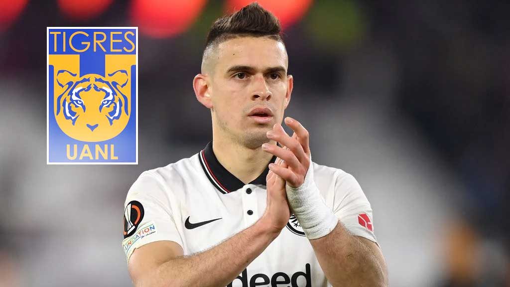 Tigres ya tiene 'Plan B' en caso de no poder contratar a Rafael Santos Borré