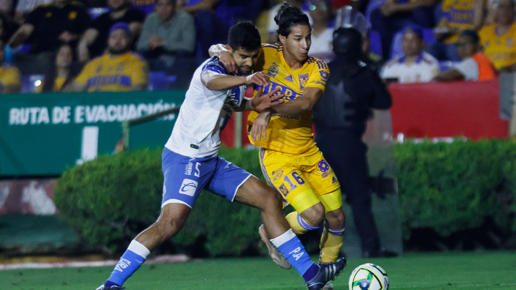 Tigres vs Puebla: Horario, canal de transmisión, cómo y dónde ver la Liga MX Apertura 2023