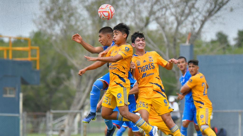 Diego Arria en un partido con Tigres, ahora jugará para River Plate