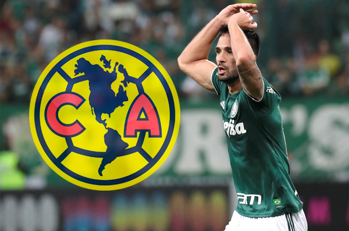 América oferta por Luan Garcia Teixeira
