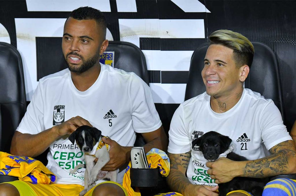 Un desecho de Tigres cerca de ser nuevo compañero de Neymar 0