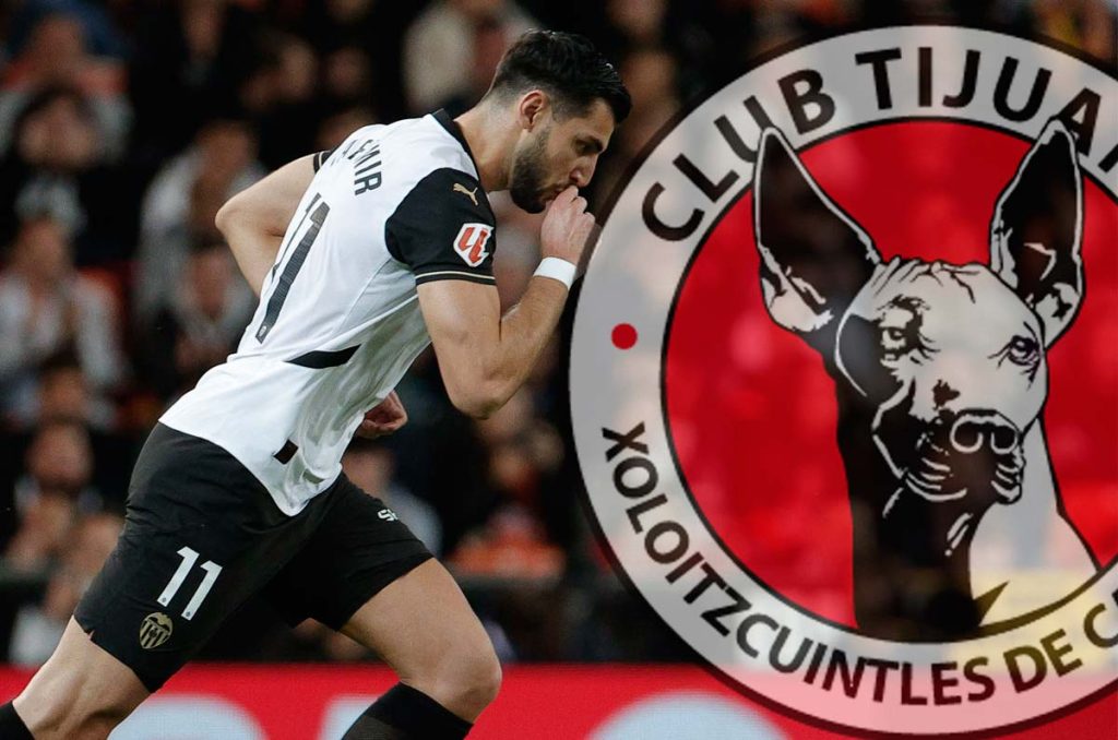 Rafa Mir sería el bombazo de Xolos de Tijuana