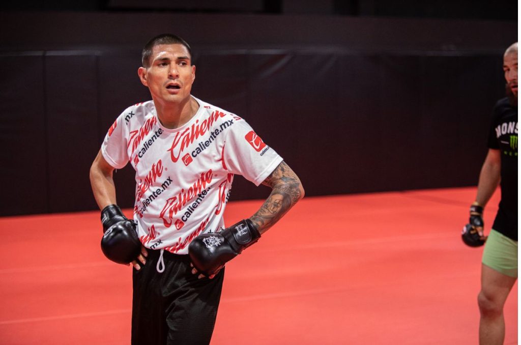 ¡La emoción de la UFC regresa a México 1