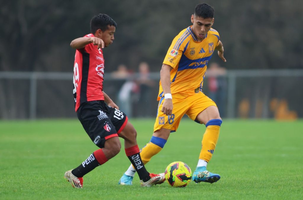 David Ayala tampoco seguirá siendo parte de los Tigres UANL