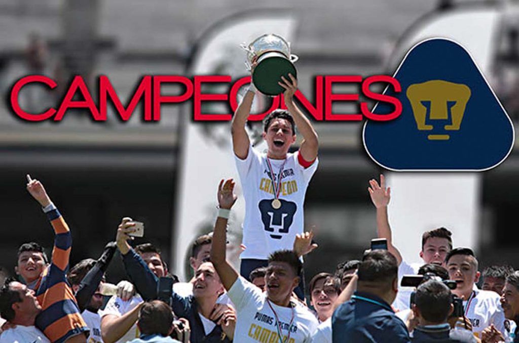 En el Clausura 2016, los Felinos se coronaron en la Segunda División Premier