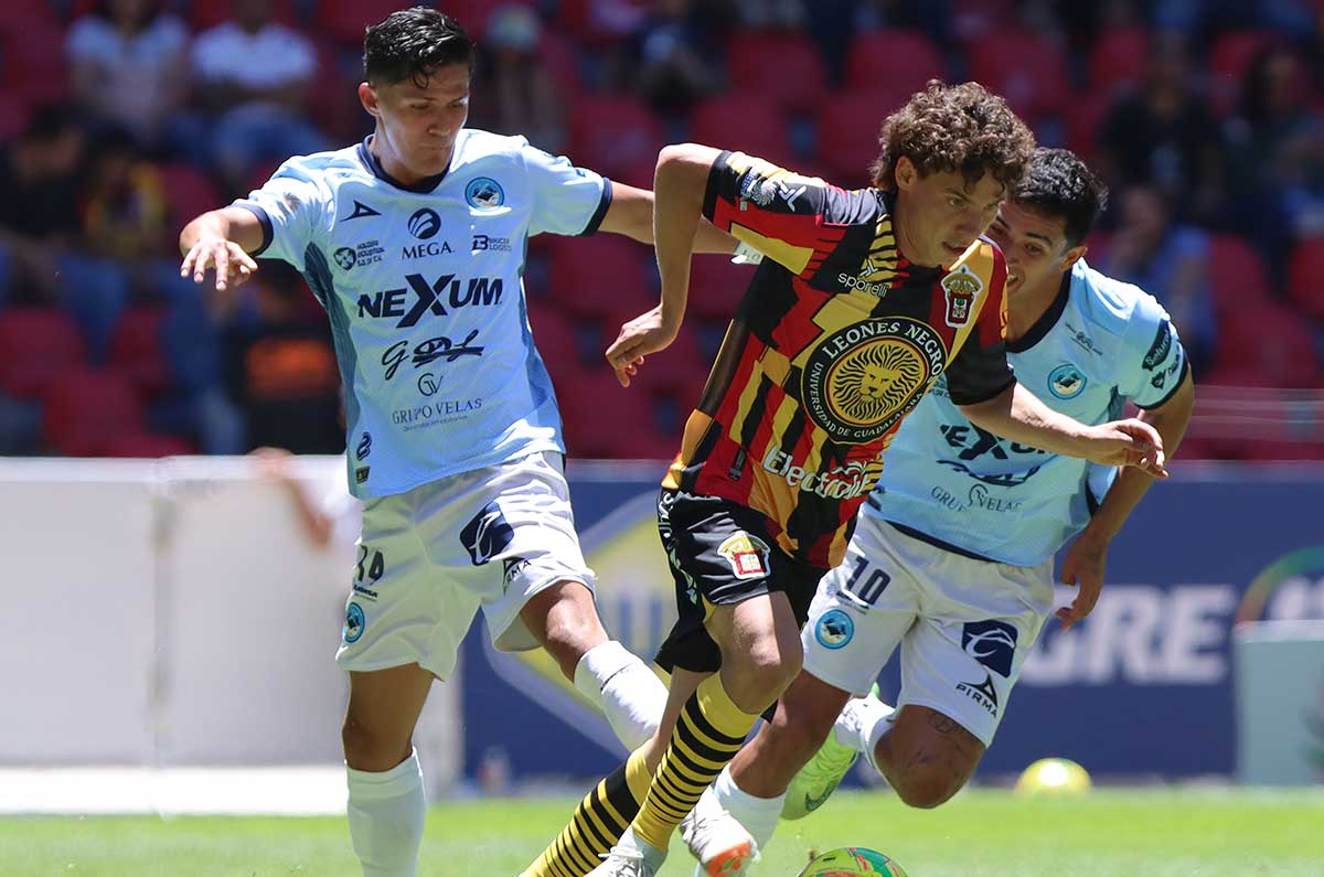 tampico-madero-y-leones-negros-protagonizan-la-gran-final-de-la-liga-de-expansion