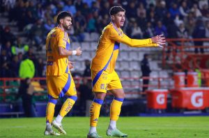 En Tigres vinculan a dos de sus defensas con clubes de Brasil