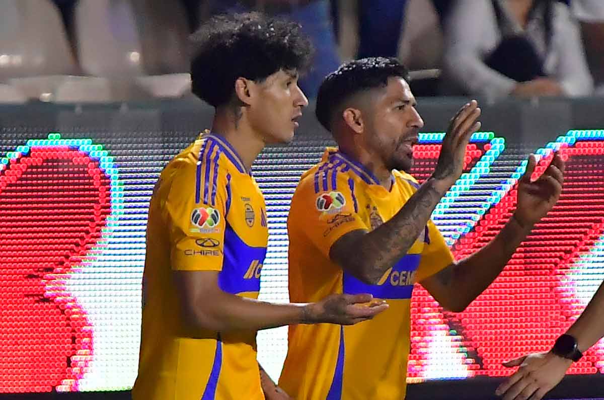 Tigres se harta y este será su primer transferible del Clausura 2026