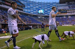 Así marcha la limpia del Puebla para el Clausura 2026