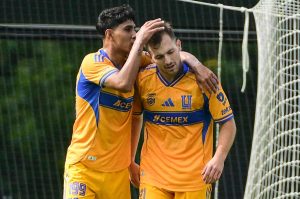 Tigres suma dos nuevas bajas