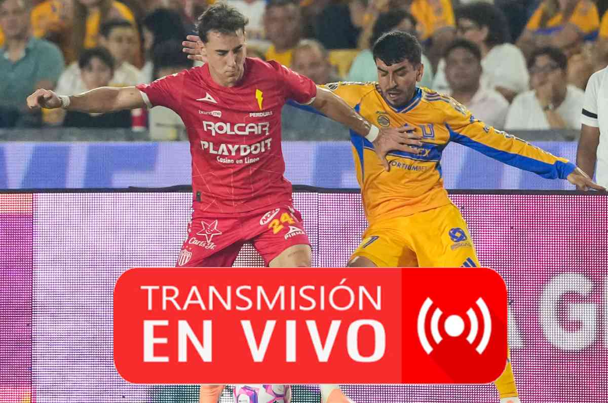 EN VIVO HOY Necaxa vs Tigres Jornada 15 Clausura 2026