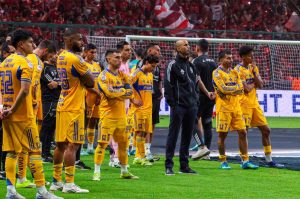 Tigres puede acostumbrarse a perder